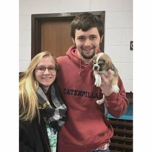 Meet your Posher, Anna